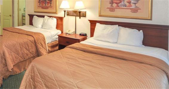 Economy Hotel מריאטה חדר תמונה